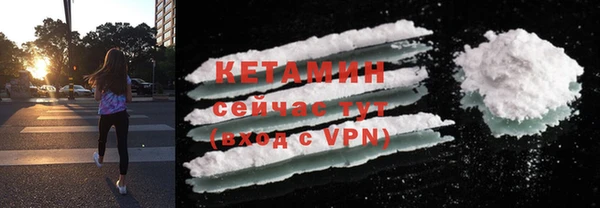 дмт Бородино