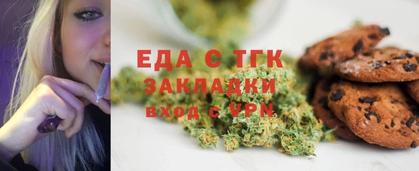 дмт Бородино