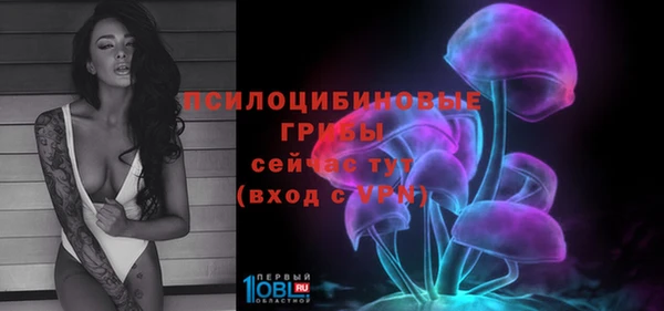 сатива Бугульма