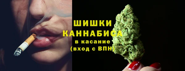 дмт Бородино