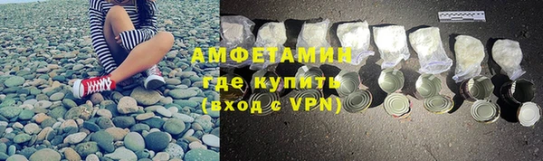 дмт Бородино