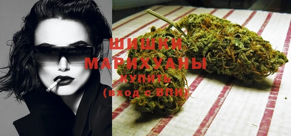 сатива Бугульма