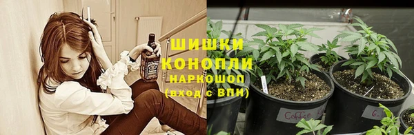 сатива Бугульма