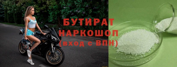 дмт Бородино