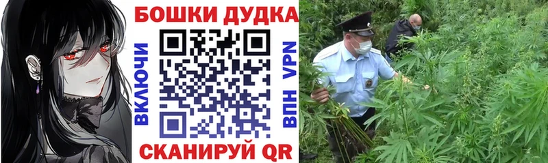 купить закладку Ворсма Бошки марихуана гибрид